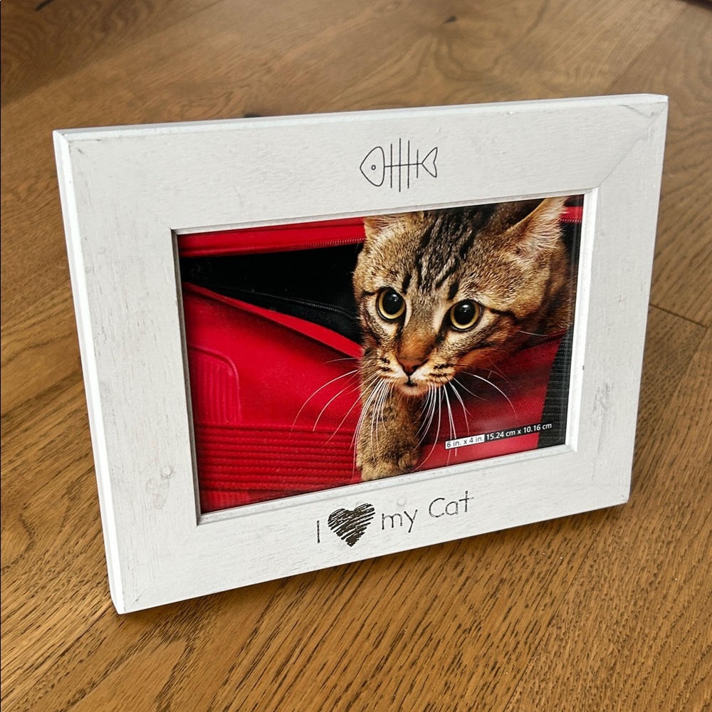 Charming White Cat Photo Frame 6"x4"